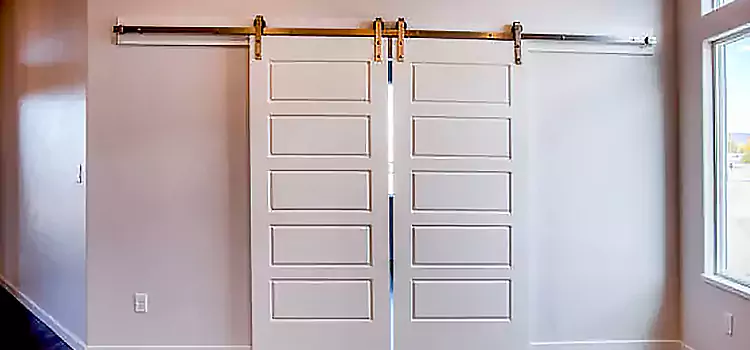 Glass Barn Door with Installation Hardware Kit Castle Rock
