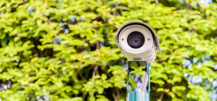 Advanced Surveillance Solutions for Every Need in Castle Rock