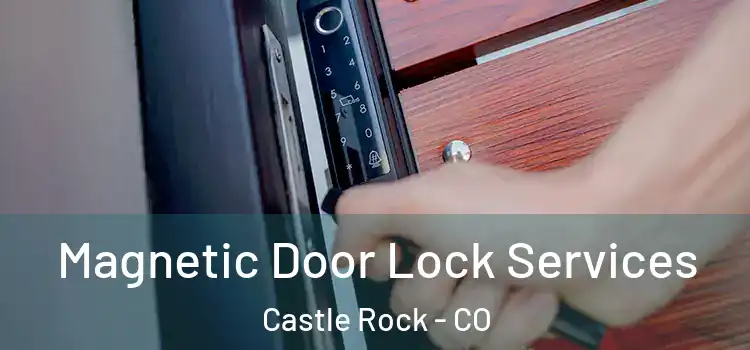 Magnetic Door Lock Services Castle Rock - CO